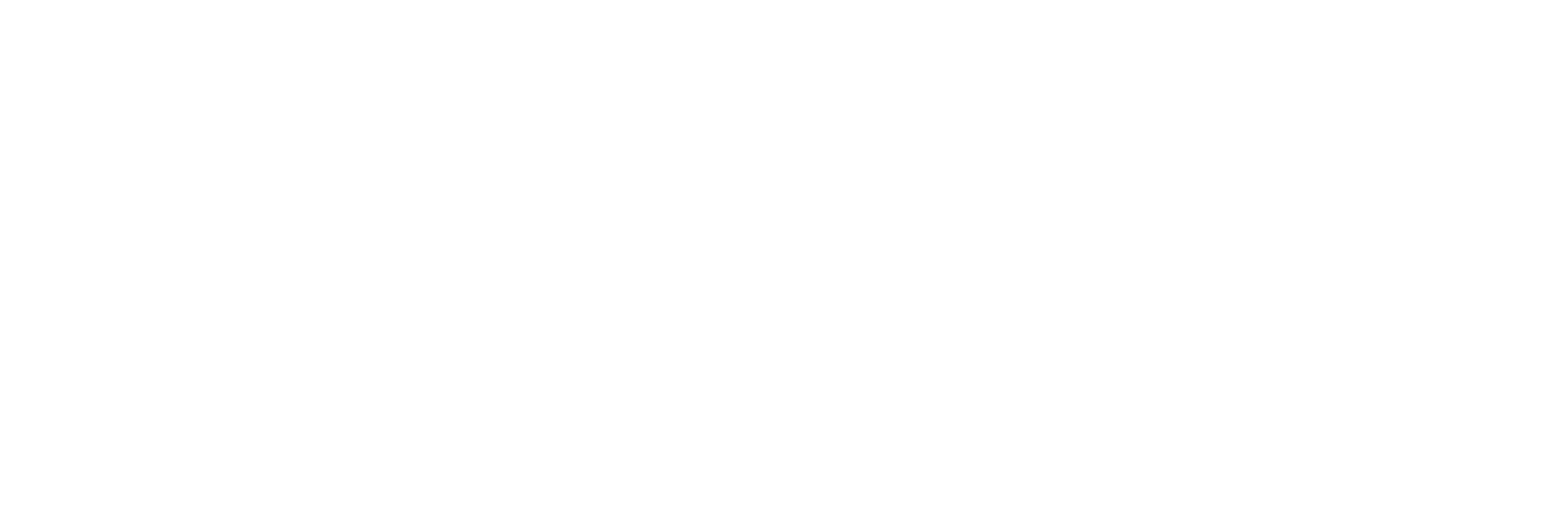 light logo